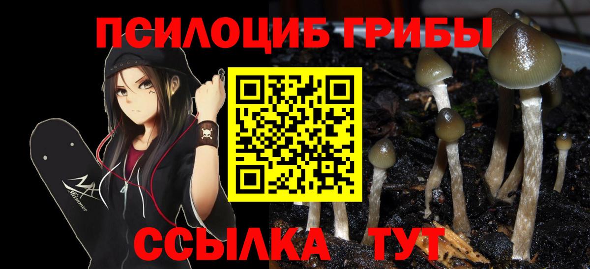 Феодосия  Галлюциногенные грибы Psilocybe  Вход с VPN 